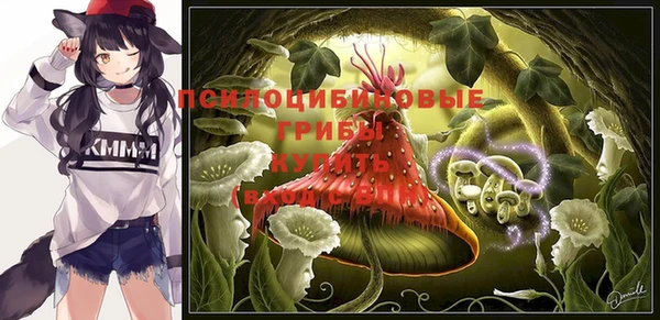 2c-b Михайловка