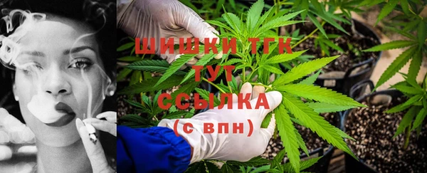 тгк Арсеньев