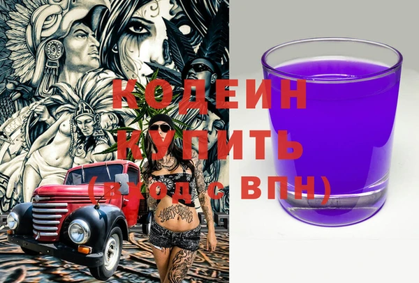 прущие грибы Осташков