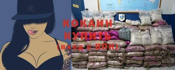 прущие грибы Осташков